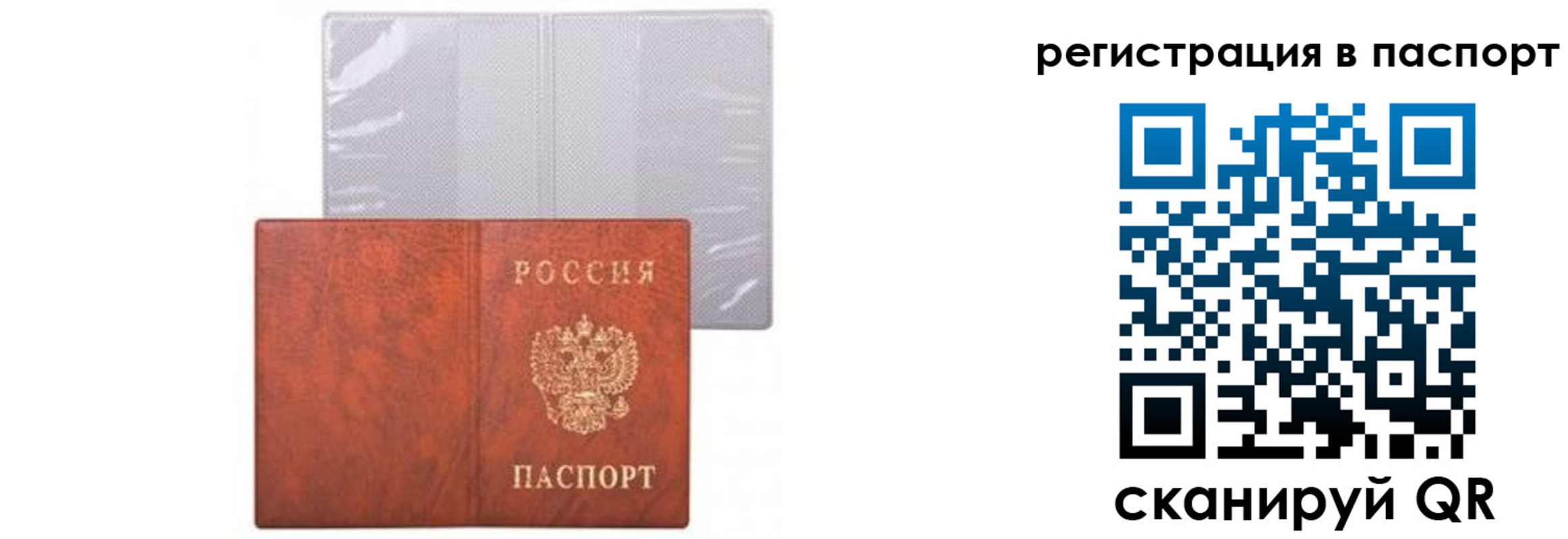 прописка ребенка в Кусе